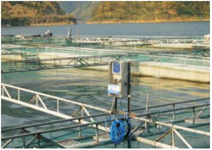 SQ-CT智能化水产养殖远程监控管理系统