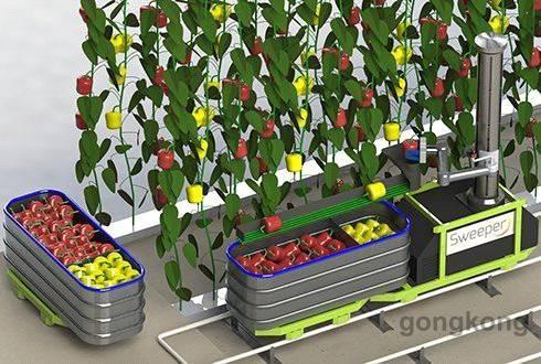 未来农业：机器人与你一起“锄禾”