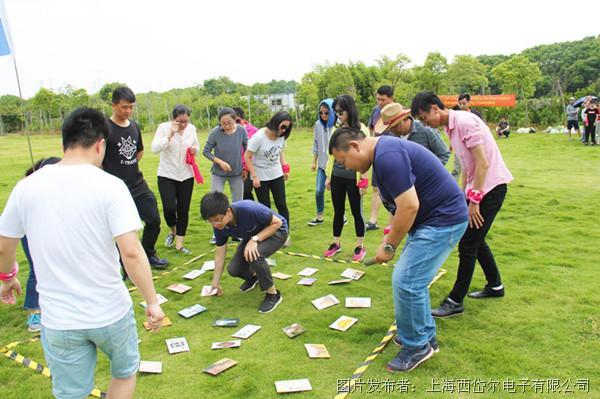 阳光正好│citel带你邂逅520拓展季